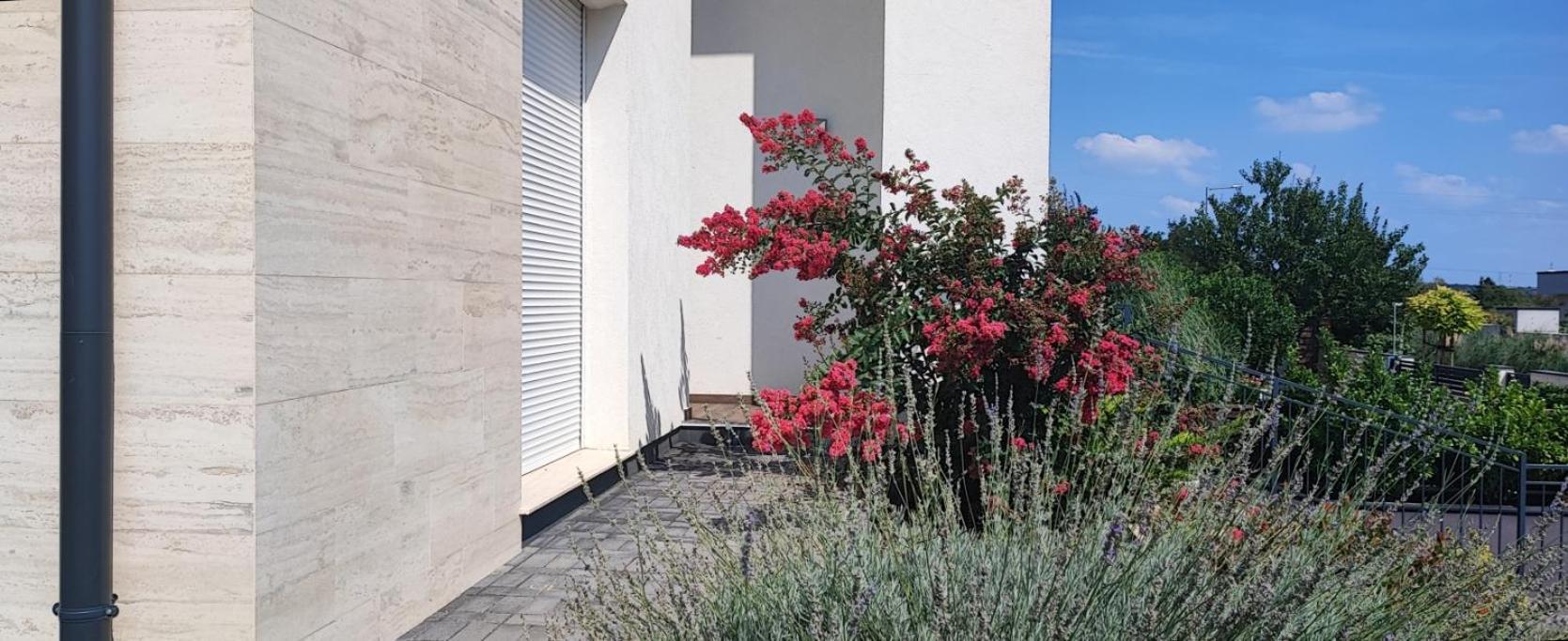 White Column House Apartment Diosd Exterior photo